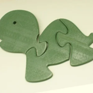 Puzle de tortuga